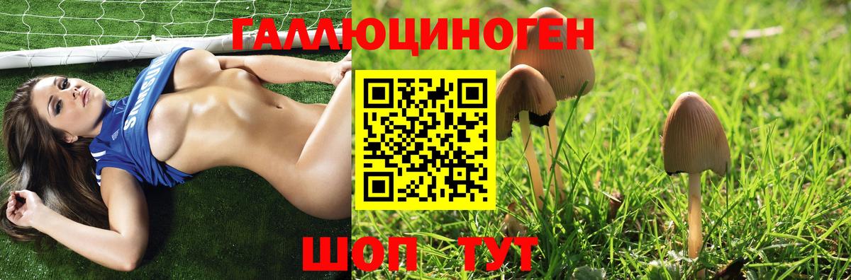 где найти наркотики  Галлюциногенные грибы мицелий  Вход с VPN  Электрогорск  Псилоцибиновые грибы MAGIC MUSHROOMS 